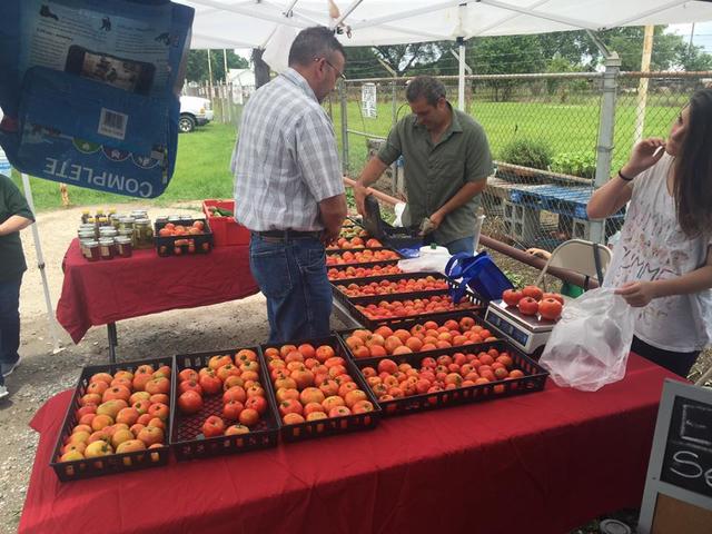 GLC Farmers Market Tomatoes