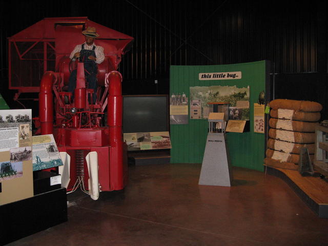 Cotton Pickin' and Boll Weevil exhibits