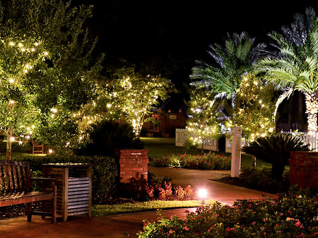 Nottoway's grounds sparkle every night, lit throughout with thousands of lights