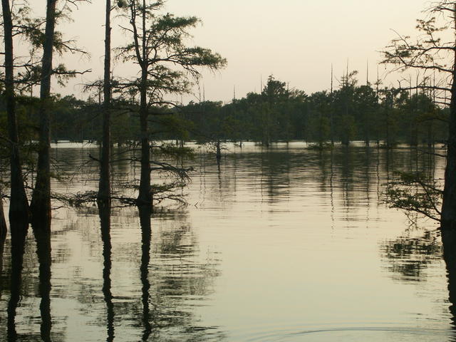 Black Bayou Lake at sunset