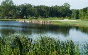 The Atchafalaya at Idlewild