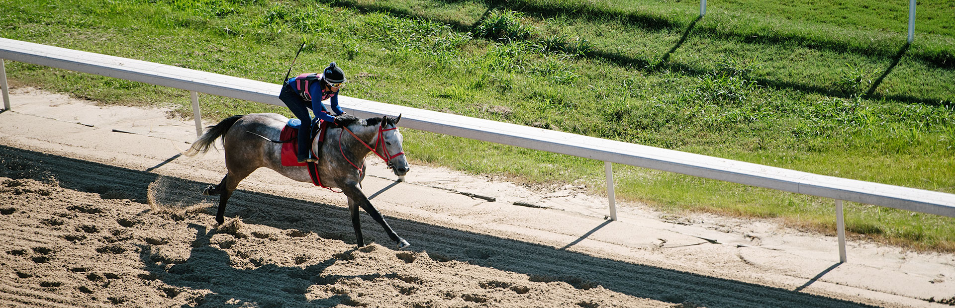 Evangeline Downs racetrack in Opelousas, LA
