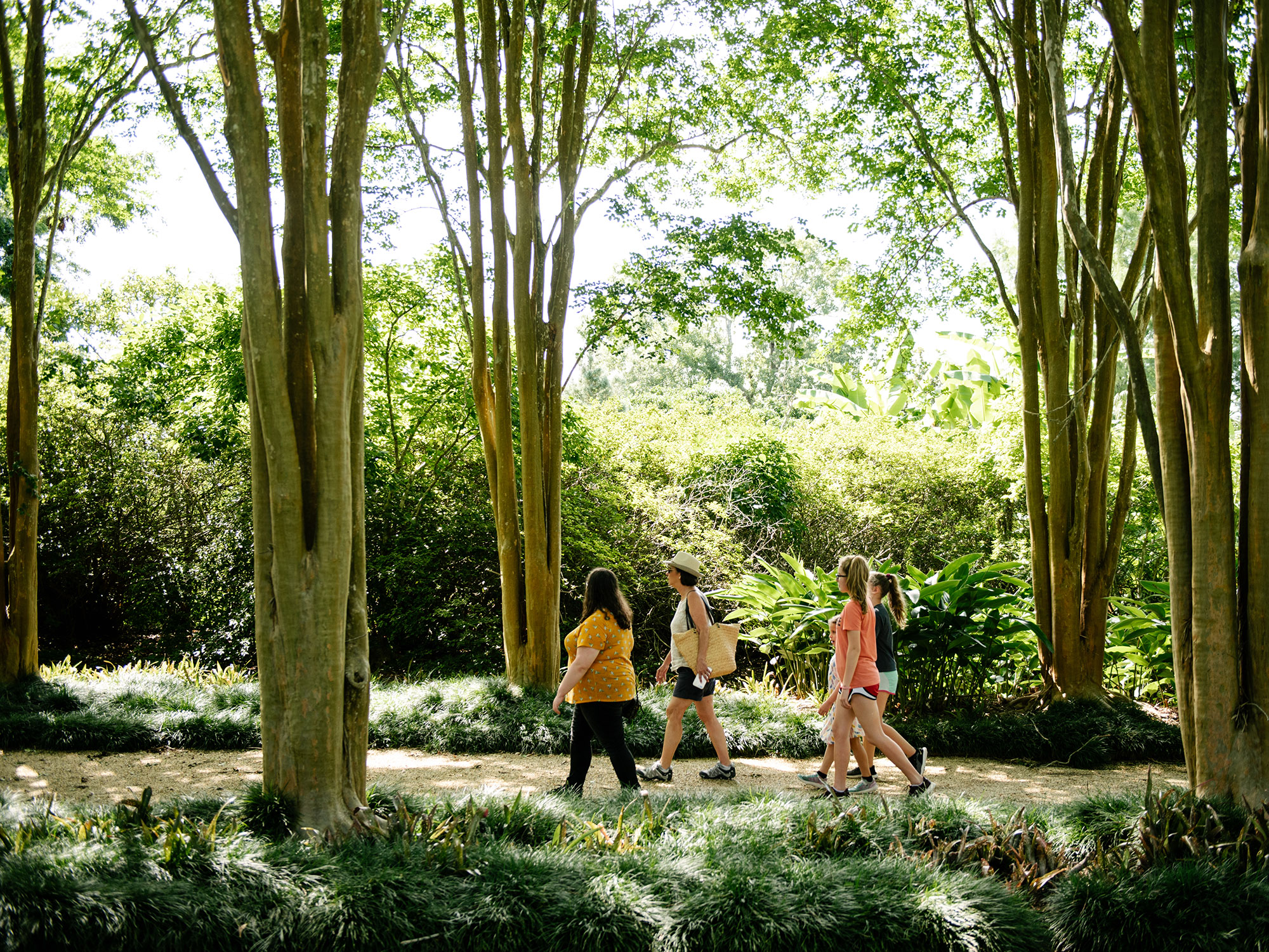 Walk through the Rip Van Winkle Gardens in New Iberia