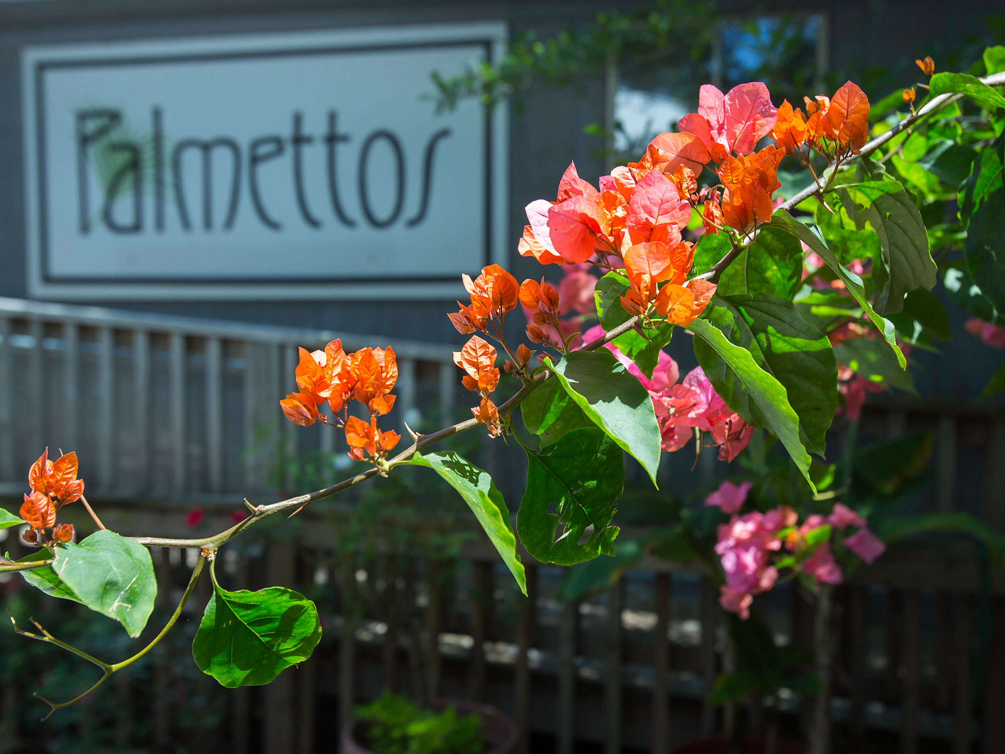 Palmettos Restaurant on the Northshore