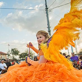 Cajun Bayou Mardi Gras