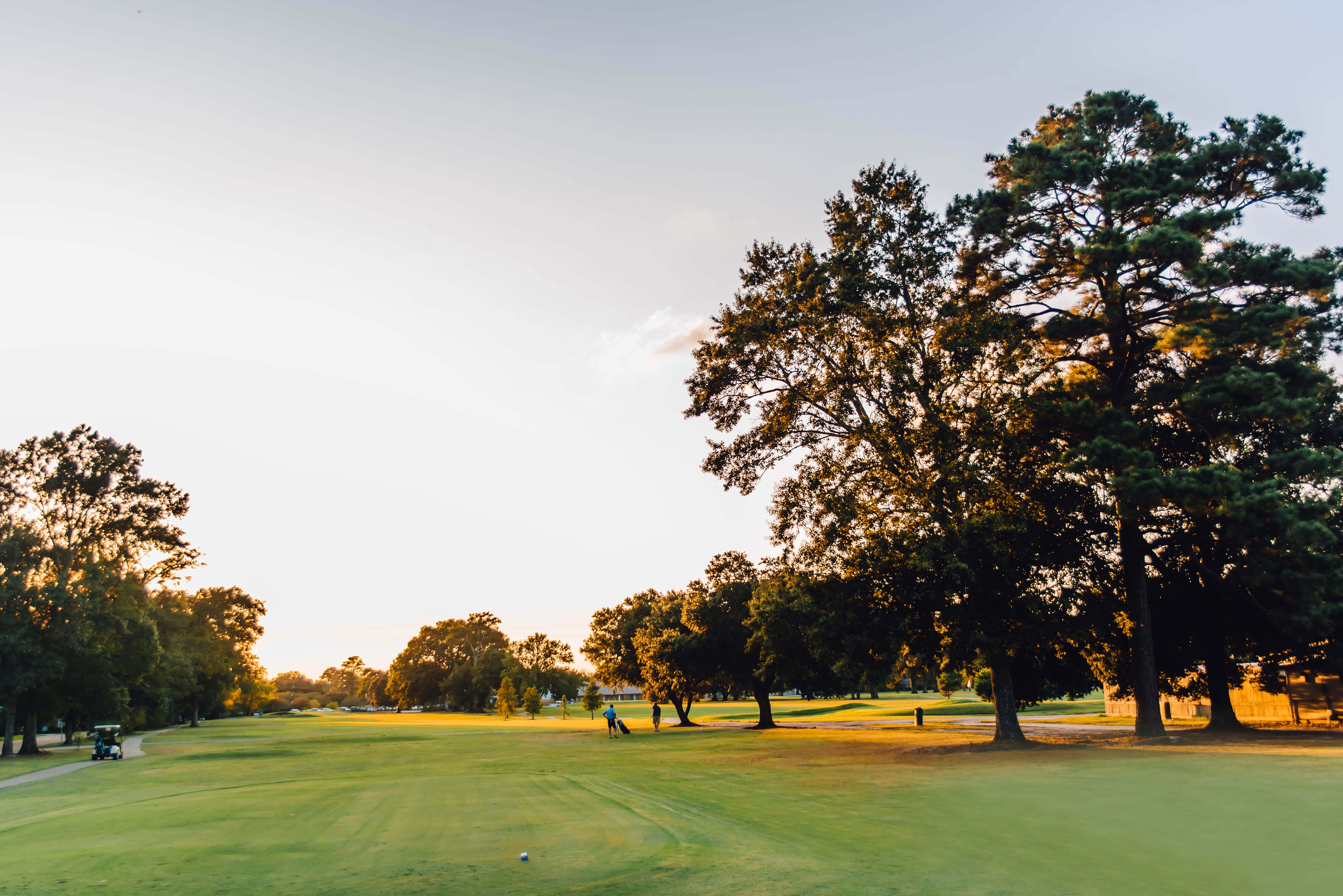 Sunset view at Oak Harbor Golf Club with golden light shining through trees.
