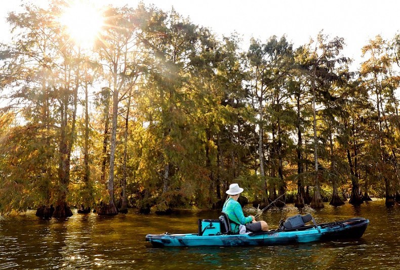 A person fishes from a kayak in a swamp.