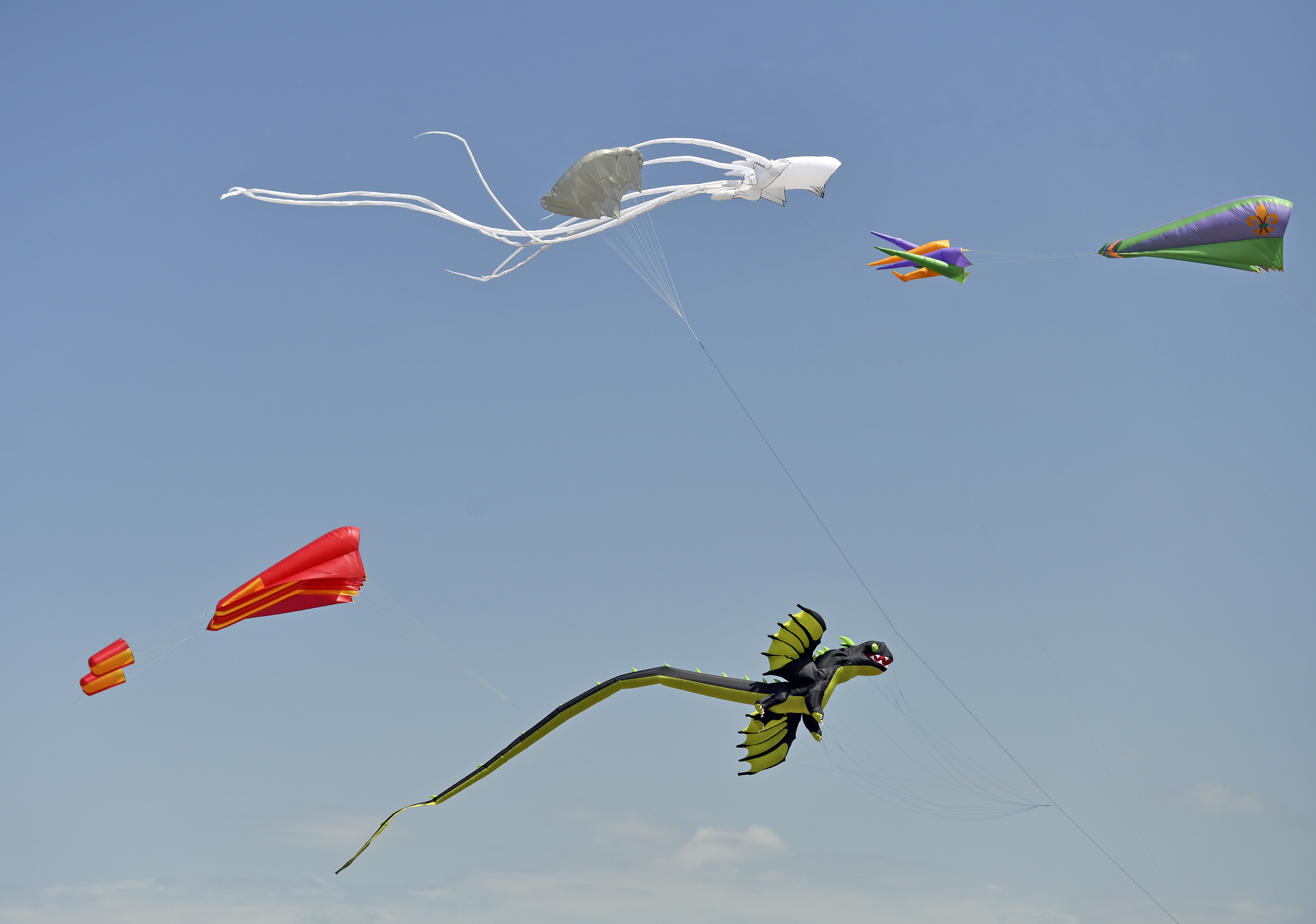Kites flying in the sky at Kite Fest Lousiane'.