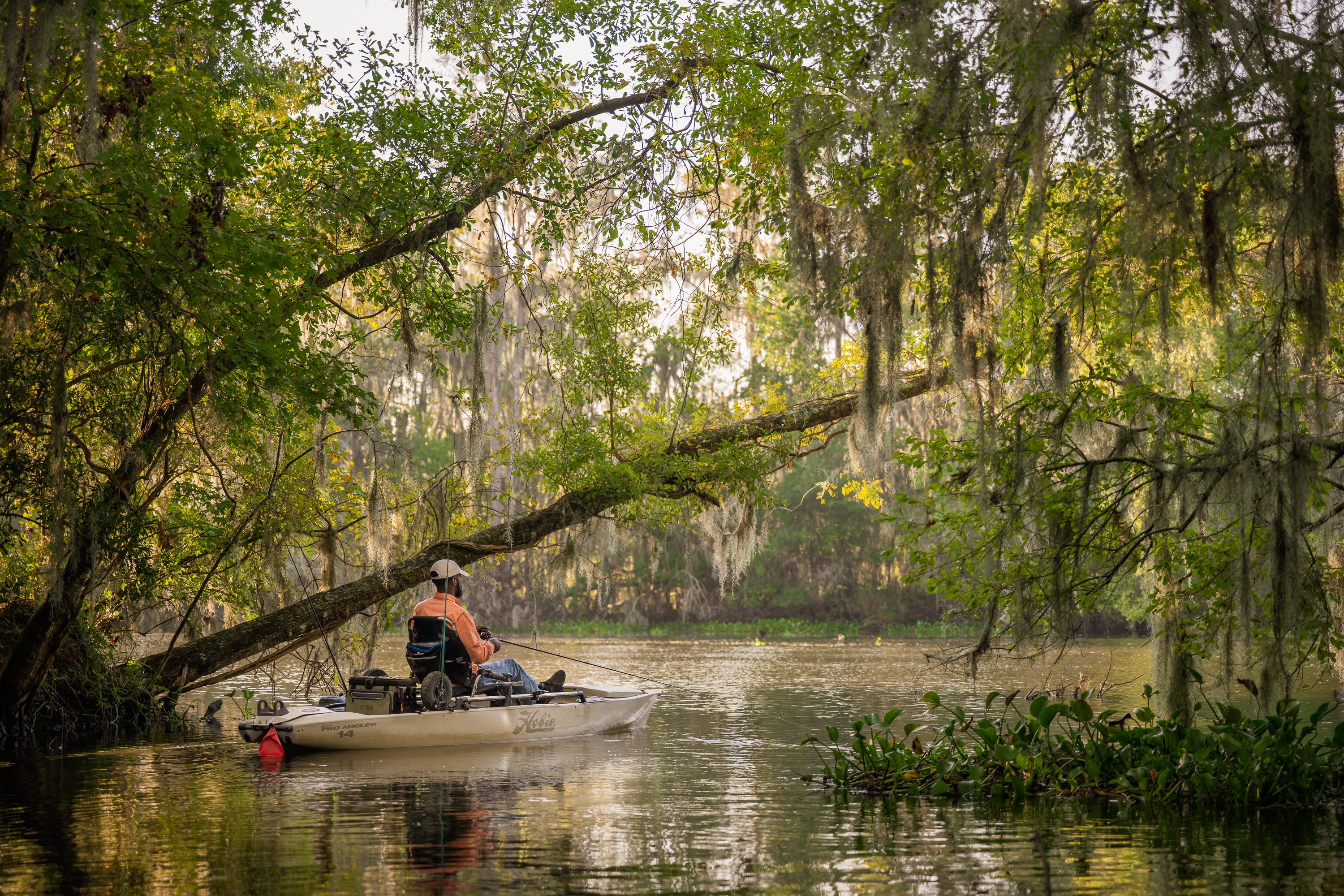A person kayaks in a bayou.