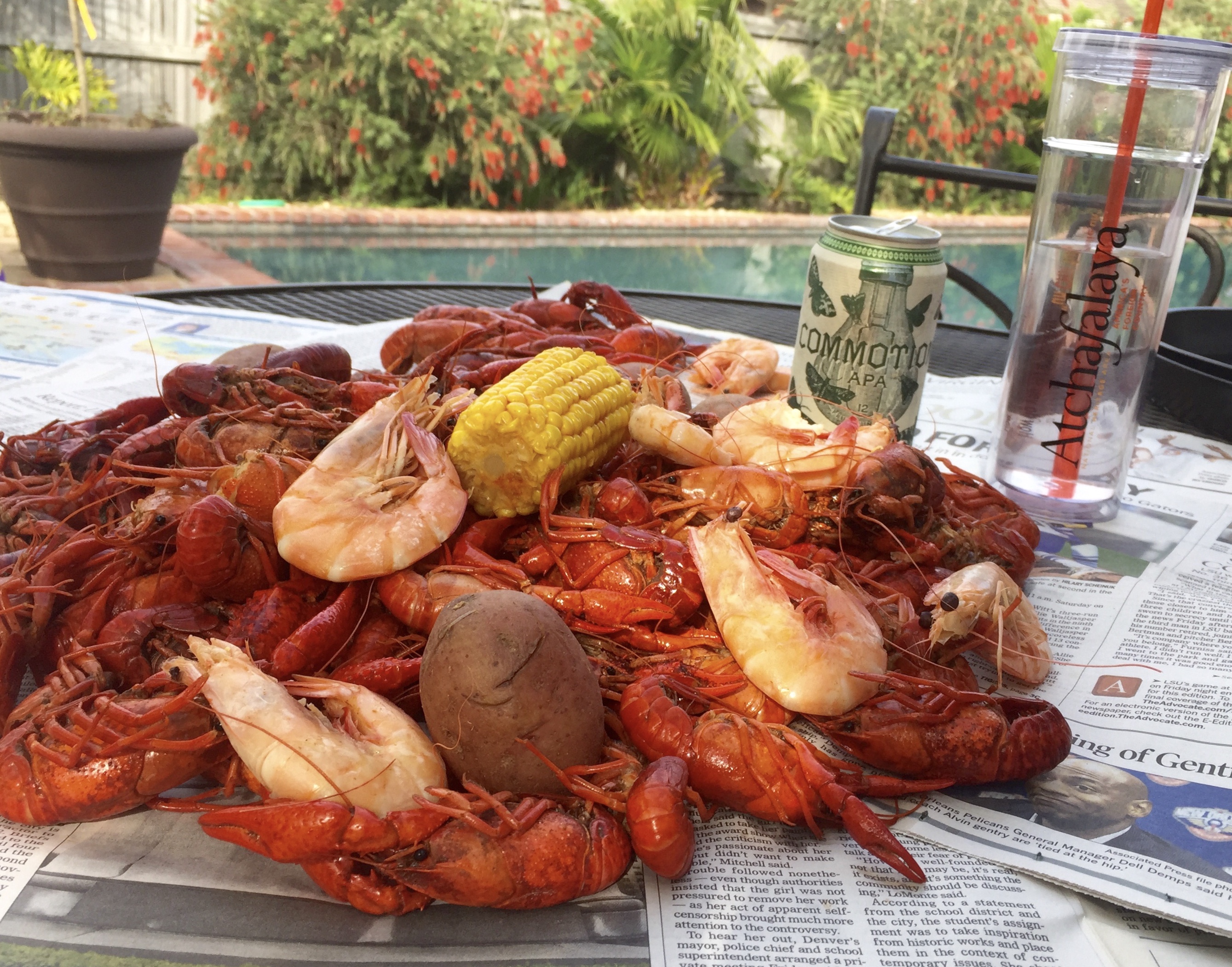 Guide to Louisiana's Crawfish Festivals and Crawfish Season