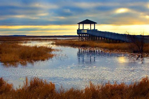 Creole Nature Trail