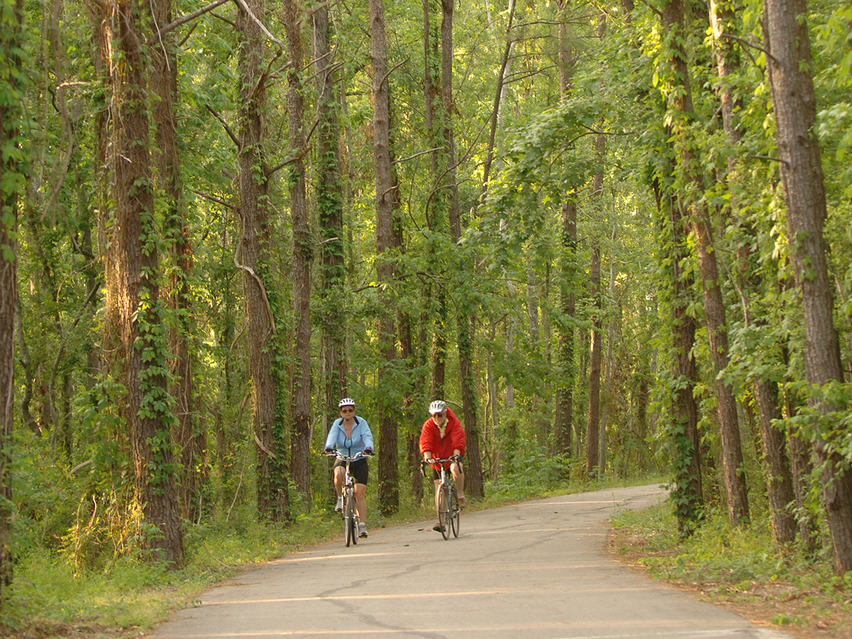 Louisiana Biking