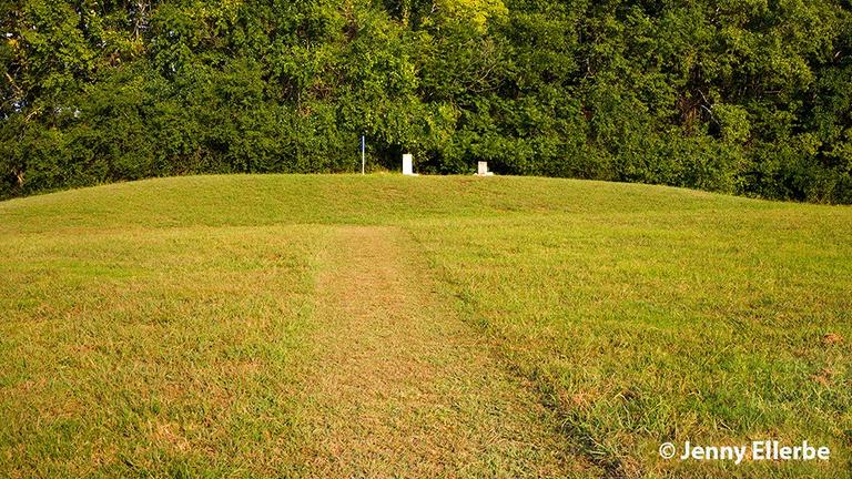 Poverty Point Mound D