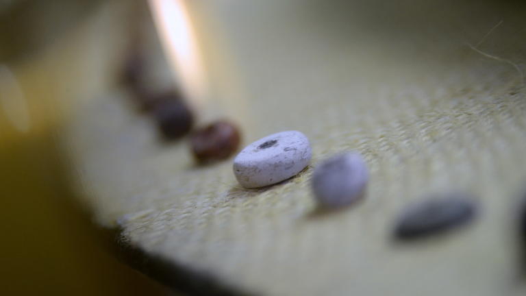 Beads found at Poverty Point