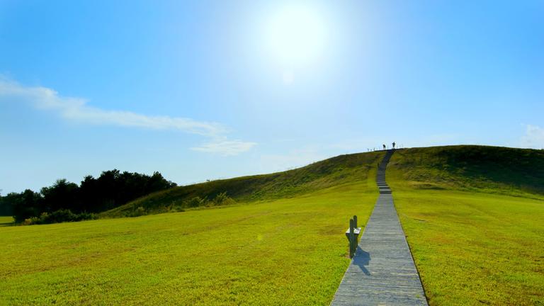 Poverty Point Mound A