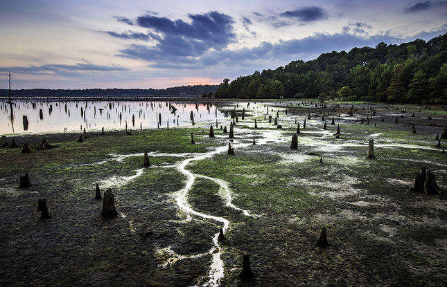The swamp at Lake D'Arbonne State Park, with a beautiful sunset in the background.