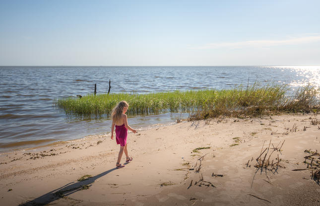 Beach at Fontainebleau State Park