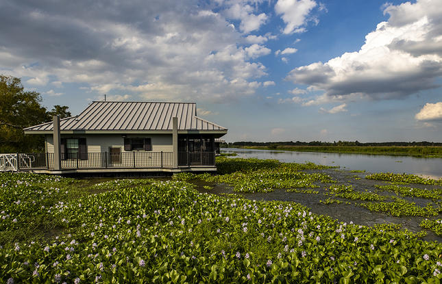 A cabin at Bayou Segnette State Park sits right on the water, surrounded by moss and seaweed.