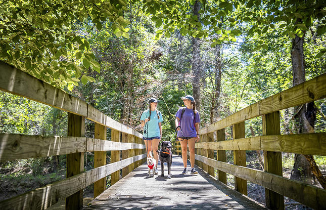 Port Hudson State Historic Site Trail
