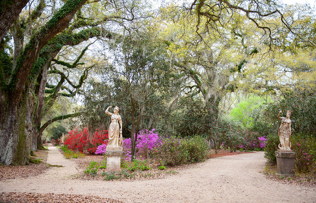 A wide-lens photo of the gardens at Rosedown State Historic Site.
