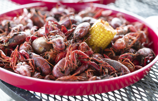 A steaming plate of boiled crawfish from famous joint Crawfish Haven/Mrs. Rose’s Bed and Breakfast.