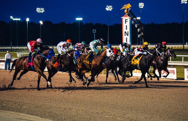 Horses race at Evangeline Downs