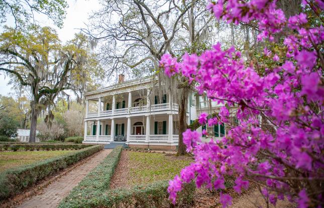 Rosedown Plantation in St. Francisville.