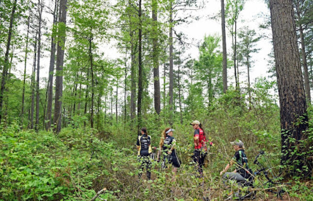 Archers prepare to compete at the Louisiana Forest Festival.