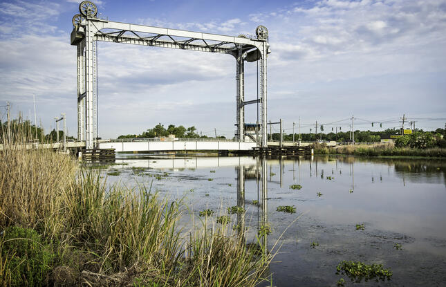 Take in the quiet scenes while kayaking in Louisiana.