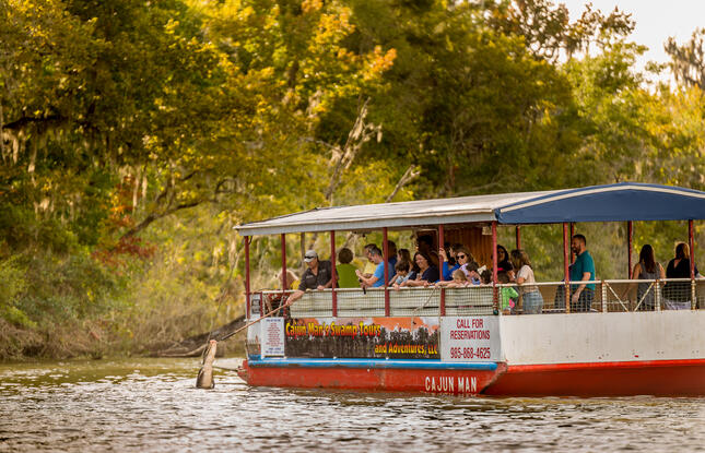 Houma swamp tours explore mossy cypress trees, wildlife, and wetlands, with options from large pontoon tours to small, intimate boats.