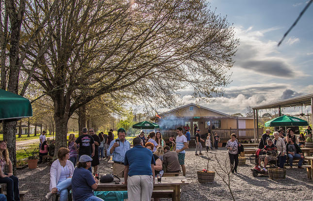 Bayou Teche Brewing in Arnaudville Louisiana