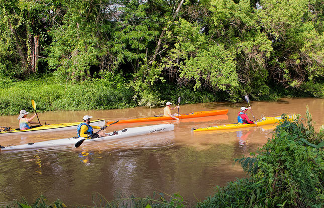 Kayak on Bayou Teche in St. Landry Parish