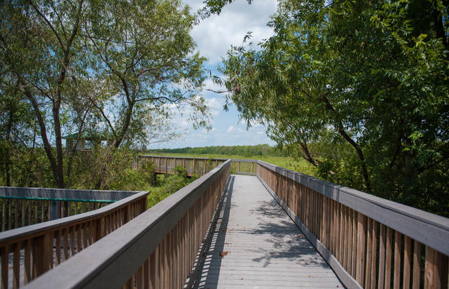 The Creole Nature Trail in Lake Charles, Louisiana
