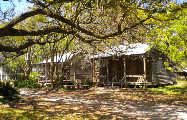Historic wooden cabins shaded by large trees at Destrehan Plantation.