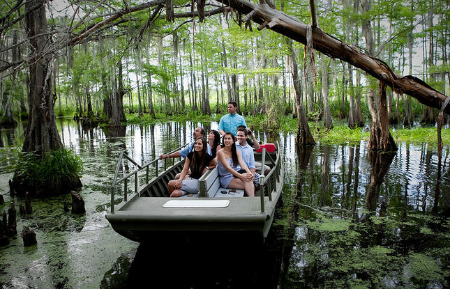 A family on a boat in a swamp in Louisiana during Honey Island Swamp Tour in St. Tammany Parish Louisiana.