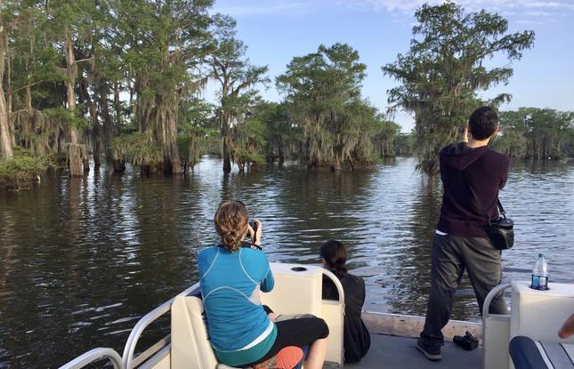 A family on a Louisiana swamp tour snaps photos of the giant cypress trees and calm water during their tour.