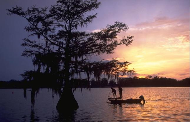 Man holding a fly-fishing pole and standing in marsh grasses on the banks of a river in Toledo Bend State Park in Louisiana.