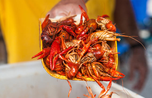 Boiled crawfish at the Mudbug Madness Festival in Shreveport.