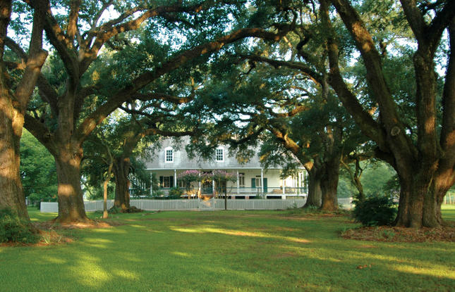 Oakland Plantation