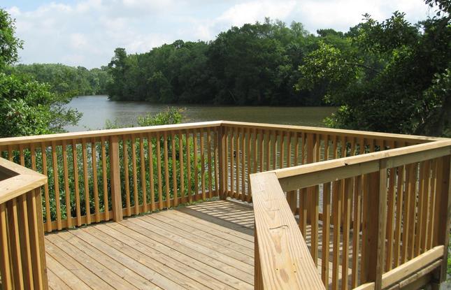 A wooden dock stretches into the swampy water at Palmetto Island State Park.