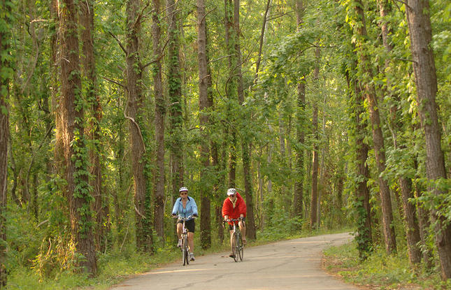 Louisiana Biking