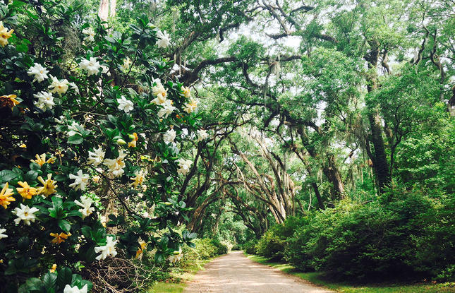 Afton Villa Gardens in St. Francisville LA