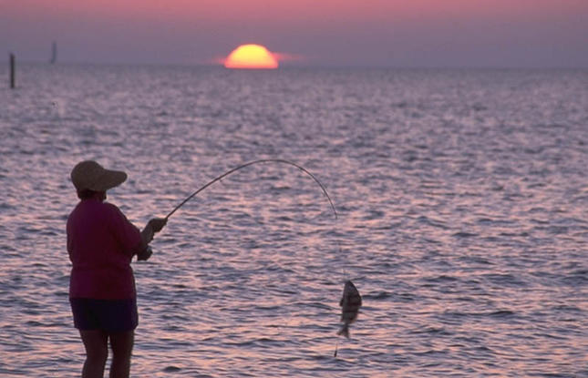 Sunset Surf Fishing