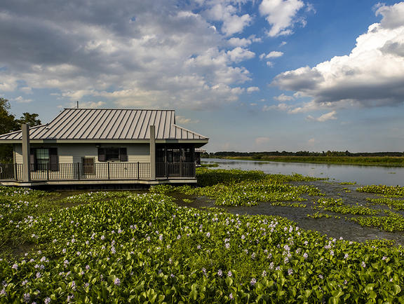 A cabin at Bayou Segnette State Park sits right on the water, surrounded by moss and seaweed.
