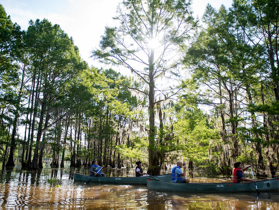 Two boats paddle through the trees at Lake Bistineau State Park.