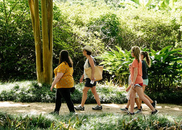 Rip Van Winkle Gardens in New Iberia