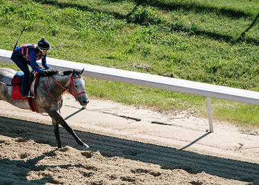 Evangeline Downs racetrack in Opelousas, LA