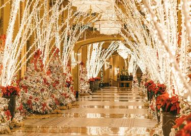 The Roosevelt Hotel Holiday Lobby, with brightly lit trees on either side of the hallway.