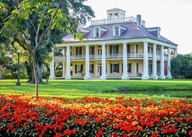 A grand Southern plantation-style mansion with towering white columns sits behind vibrant red flowers and sprawling oak trees.