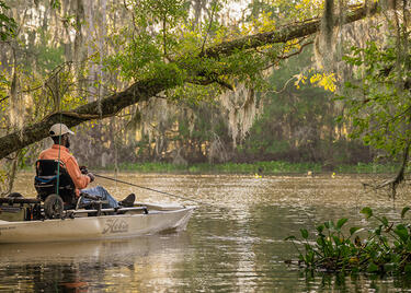 A person kayaks in a bayou.